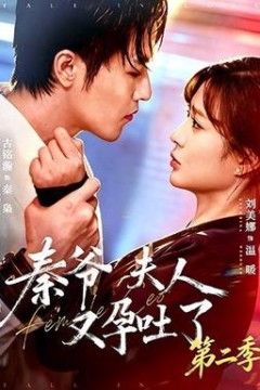 秦爷夫人又孕吐了第2季