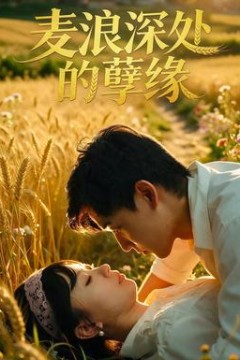 麦浪深处的孽缘